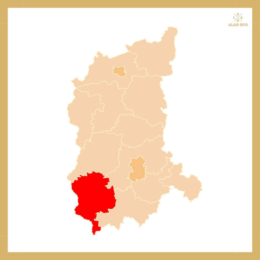 Przewozy osobowe busami na linii Żary – Niemcy